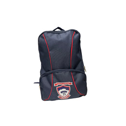2 Lined BackPack TSH Bags
