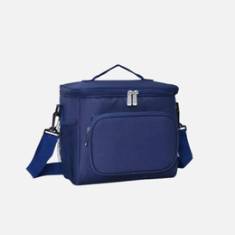 Insulated Lunch bag TSH Bags