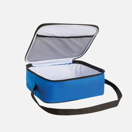 Single Lunch bag TSH Bags