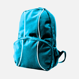 2 Lined Back Pack TSH Bags