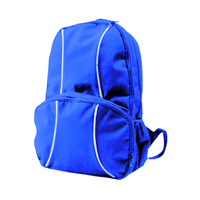 2 Lined Backpack