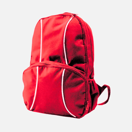 2 Lined Back Pack TSH Bags