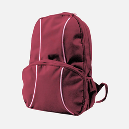 2 Lined Back Pack TSH Bags