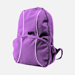 2 Lined Back Pack TSH Bags