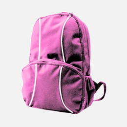 2 Lined Back Pack TSH Bags