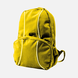 2 Lined Back Pack TSH Bags