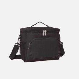Insulated Lunch bag TSH Bags