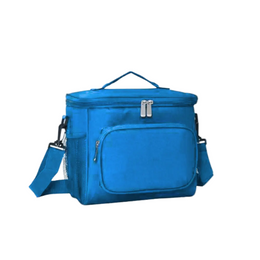 Insulated Lunch bag TSH Bags