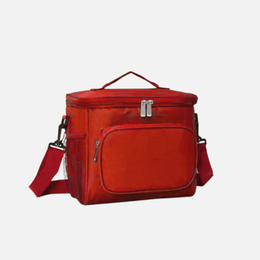 Insulated Lunch bag TSH Bags