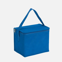 Promotional Cooler