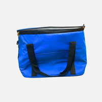 Six Can Hot/Cold Bag