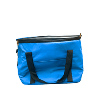Six Can Hot/Cold Bag
