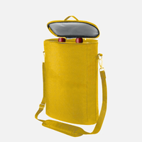 Wine Bottle Bag