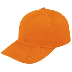 Retail 6 Panel Cap