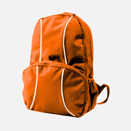 2 Lined Back Pack TSH Bags