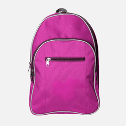 Standard Back Pack TSH Bags