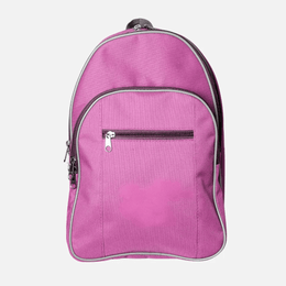 Standard Back Pack TSH Bags