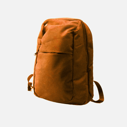 Modern School Bag TSH Bags