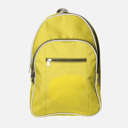 Standard Back Pack TSH Bags