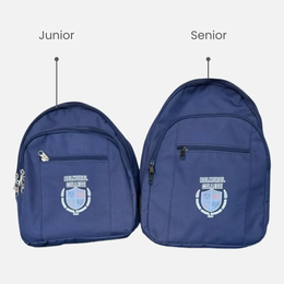 Standard Back Pack TSH Bags