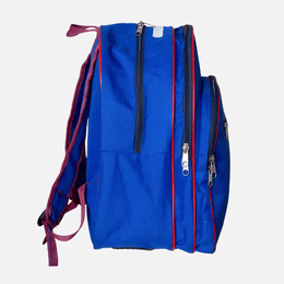Standard Back Pack TSH Bags