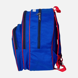 Standard Back Pack TSH Bags