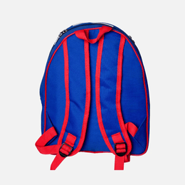 Standard Back Pack TSH Bags