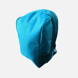 Sturdy Back Pack TSH Bags